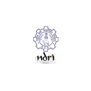 Untitled design (48)